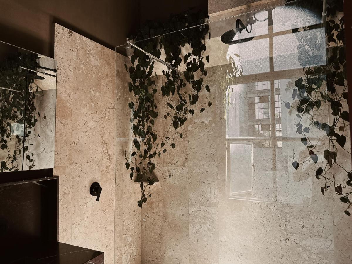 Maison Celeste Meksyk Zewnętrze zdjęcie
